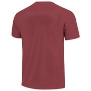 Virginia Tech Image One School Bow Comfort Colors Tee